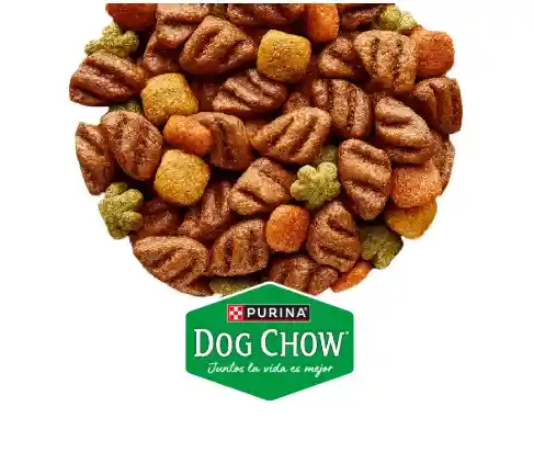 Dogchow Adulto Razas Medianas Y Grandes A Granel