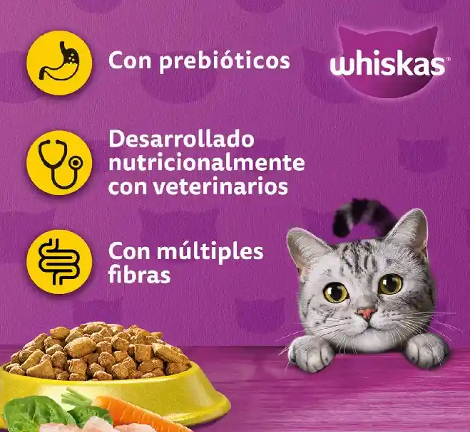 Whiskas Adulto Sabor Pollo A Granel