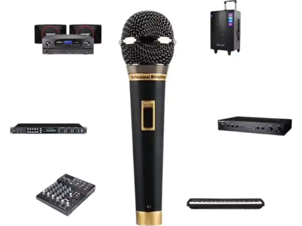 Microfono Alambrico Karaoke Profesional Canto Cardioide Voz