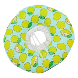 Collar Isabelino Donuts, Para Perros Y Gatos (talla Xs)