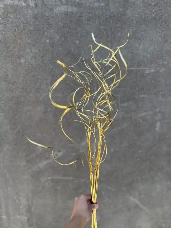 Espirales Dorados Secos