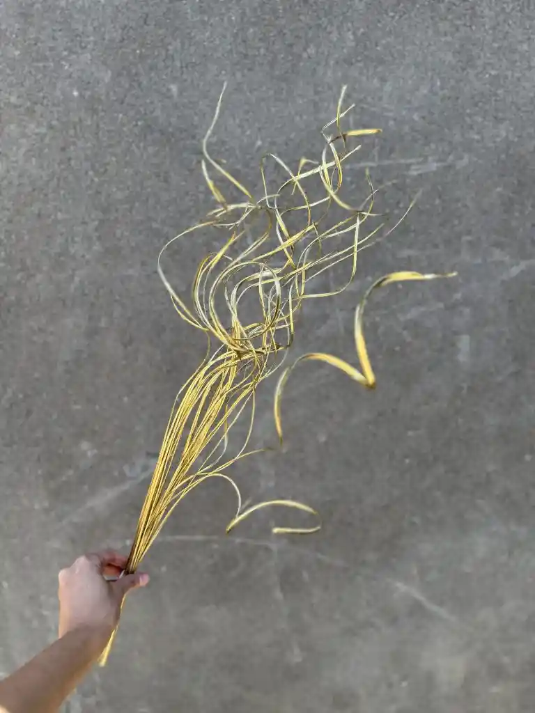 Espirales Dorados Secos