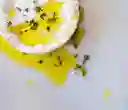 Queso Camembert Cremoso Jo Charcuterie 150 Grs