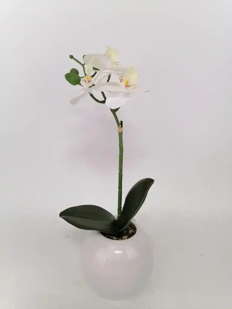 Orquidea Blanca 36cm