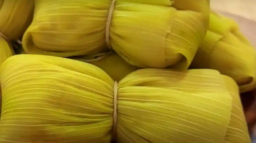 Humas Congeladas