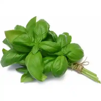 Albahaca Unidad
