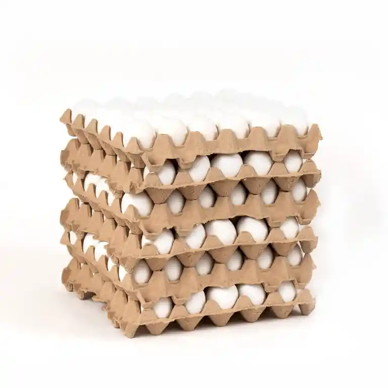 Huevo Segunda Blanco