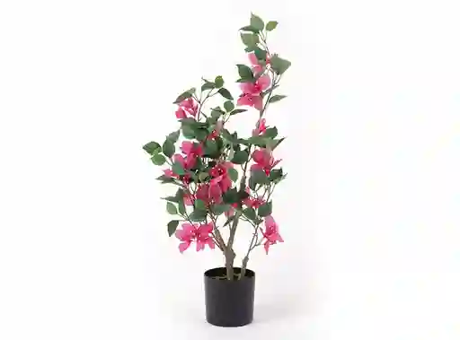 Planta Ruelia 68cm