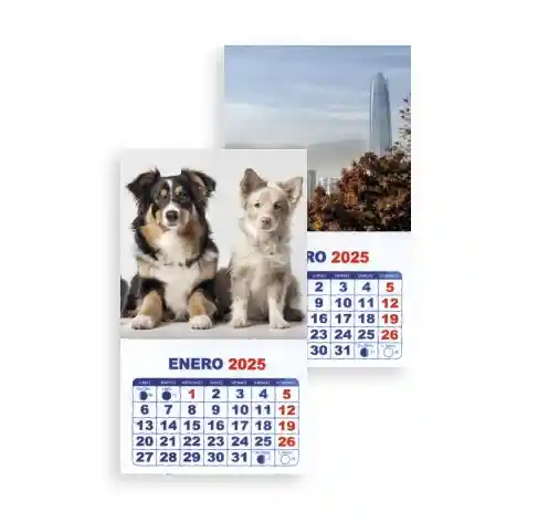 Calendario Imantado 7x12 Cms