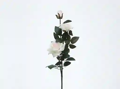 Granel Rosax3 71cm Blanca