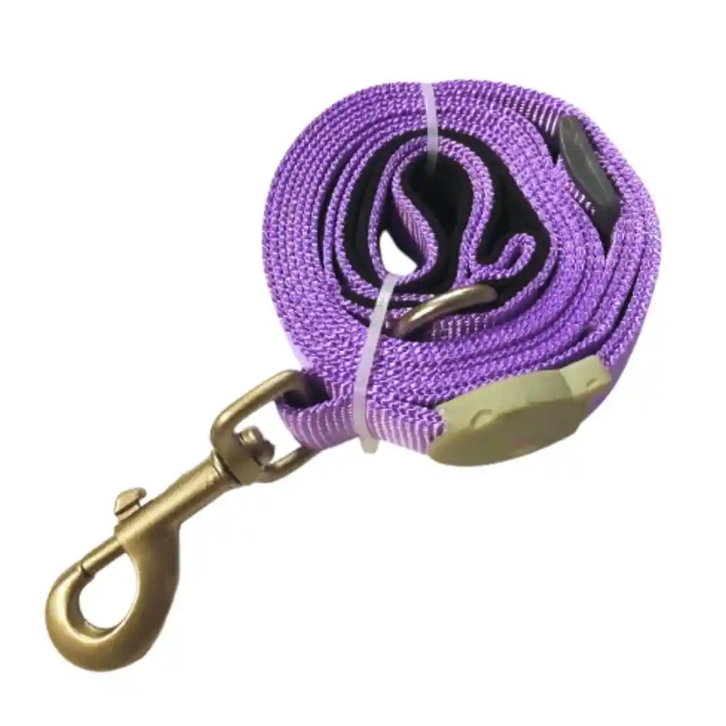 Correa Resistente Ajustable Para Perros (1,5 Mt X 2,5 Cm)