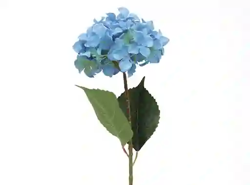 Granel Hortensia Azul 68cm