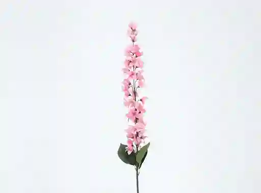 Granel Lilac Rosa 120cm