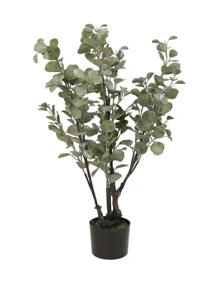Planta Eucalipto 89cm