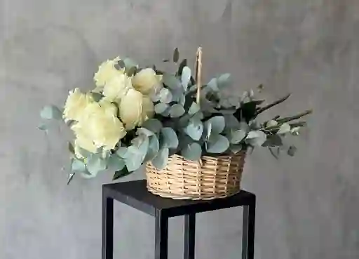 Violetero 12 Rosas Blancas