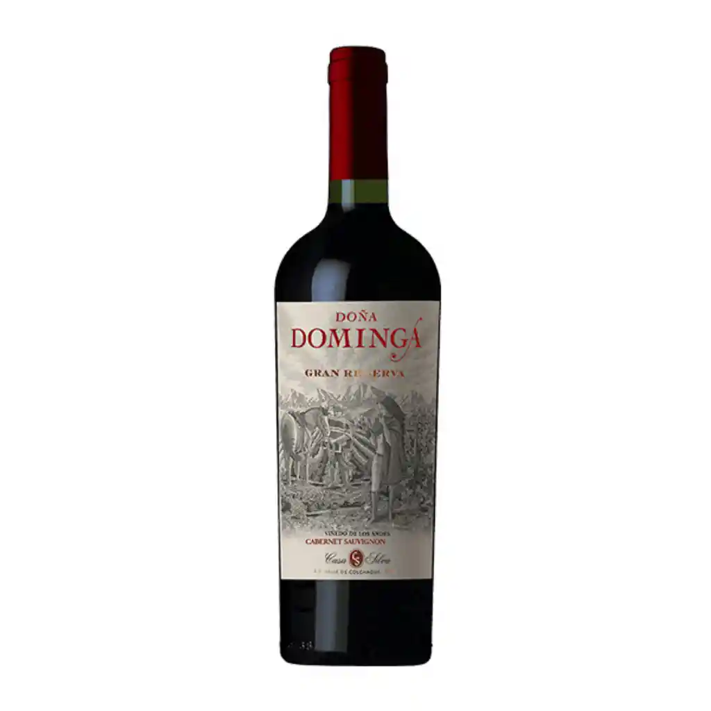 Doña Dominga Clasico De Familia Cabernet Sauvignon 750cc