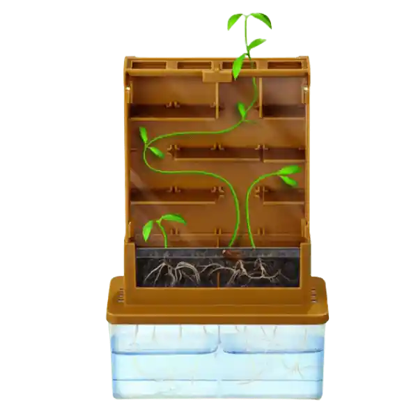 4m Steam+ Green Science Ciencia Crece Planta