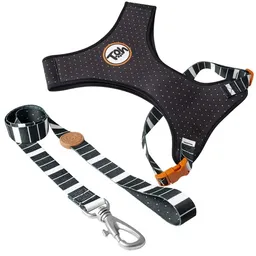 Toh - Pack Arnes Neo + Correa Eclipse (1.20 Cm) Perros Talla G-l (torax 62-102 Cm)