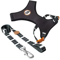 Toh - Pack Arnes Neo + Correa Eclipse (1.20 Cm) Perros Talla M (torax 46-64 Cm)