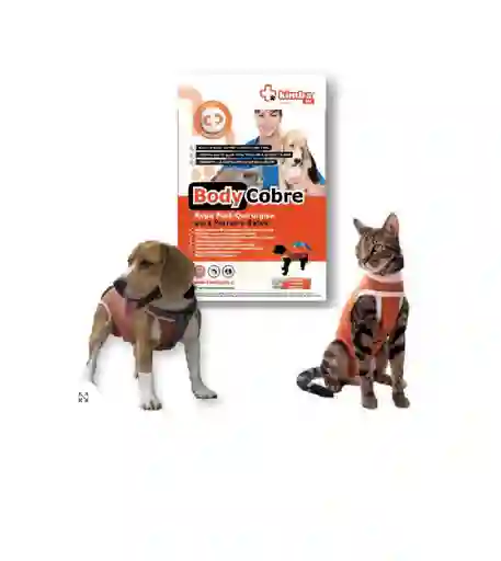 Body Cobre Castración Macho T.10