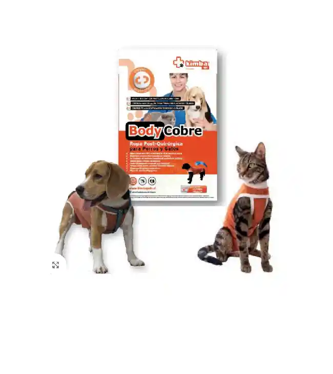 Body Cobre Castración Macho T.10