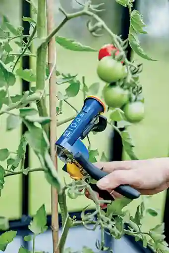 Tenaza Para Jardín Garden Rapid + 1000 Grapas