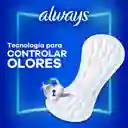 Protectores Diarios Largos 50un