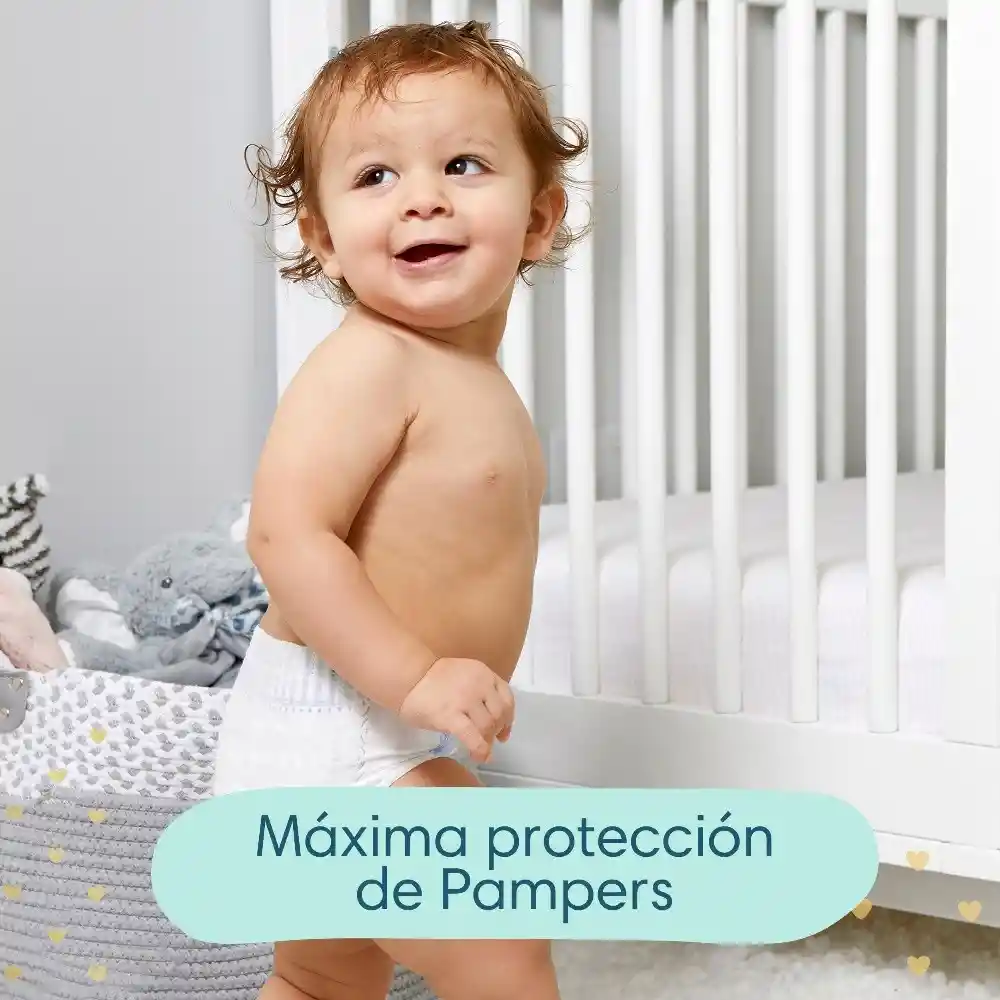 Pampers Pañales Premium Care Talla Xxxg 52 Un