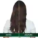 Nutrisse Oleo Tintura 5.0 Castaño Claro