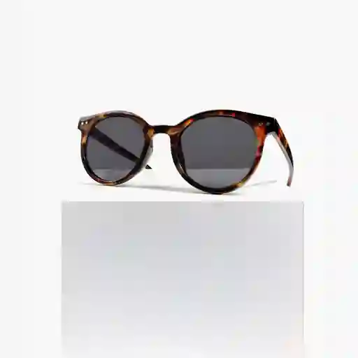 Lentes De Sol Mujer Redondos Negro