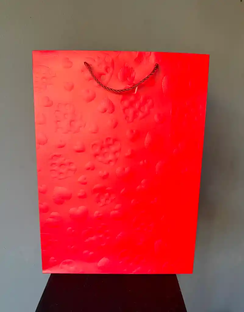 Bolsa Para Regalo Grande Con Corazones
