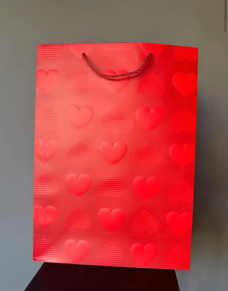 Bolsa Para Regalo Grande Con Corazones