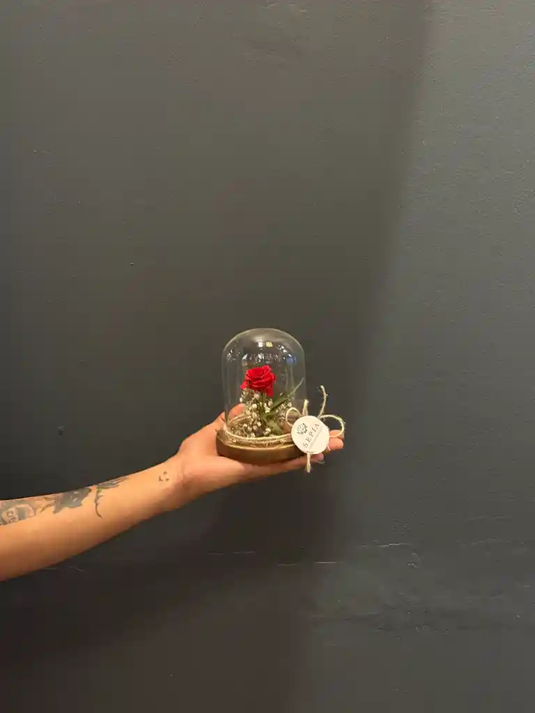 Cúpula De Mini Rosa Preservada