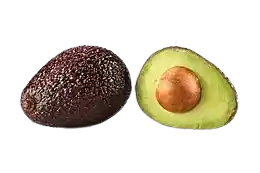 Palta Hass