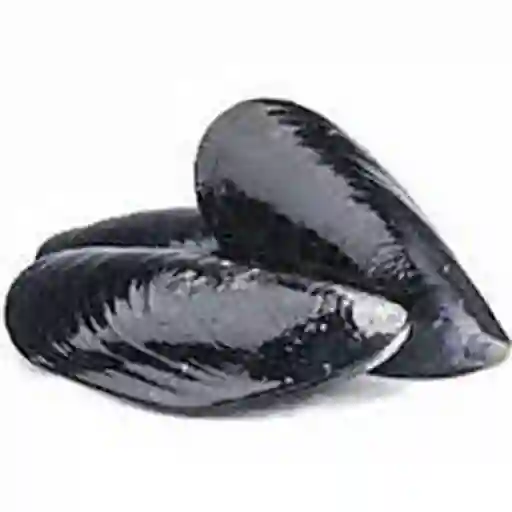 Choro Malton Congelado Kg