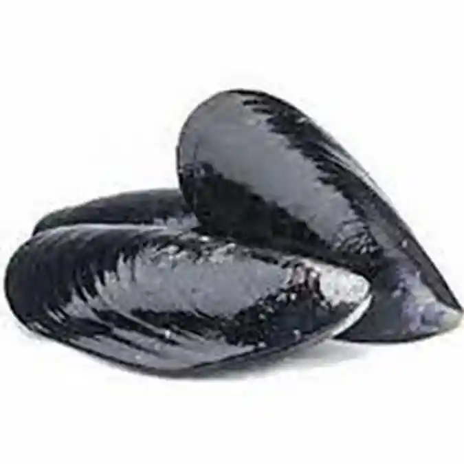 Choro Malton Congelado Kg