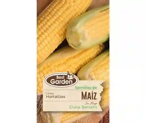 Semilla De Maíz Dulce 5 Gr. Best Garden