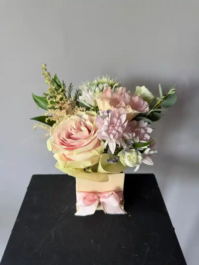 Caja Pequeña En Tonos Pasteles