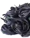 Fettuccine Negro (tinta De Calamar) 500 Grs