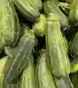Zapallo Italiano