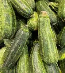 Zapallo Italiano