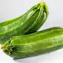 Zapallo Italiano