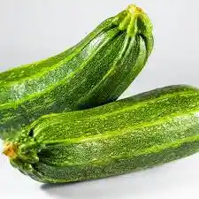 Zapallo Italiano