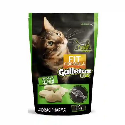 Galleta Para Gatos Con Carne De Salmón 100 Gr