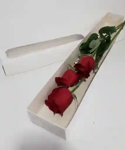 Caja Con 3 Rosas Importadas