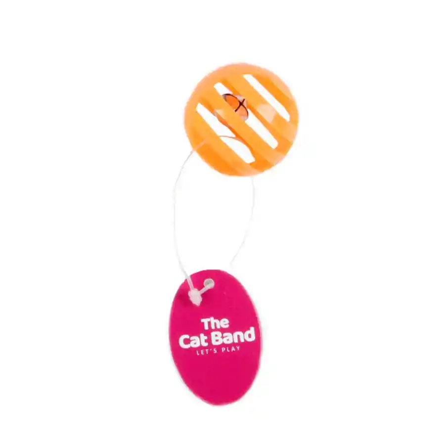 The Cat Band Plastic Ball