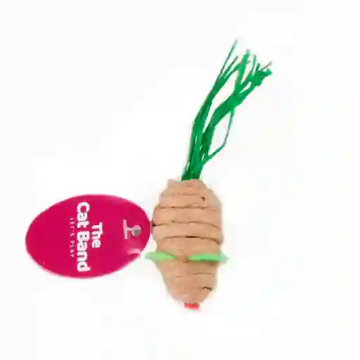 The Cat Band Roll Mouse