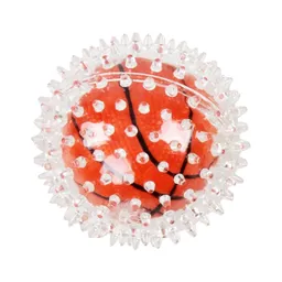 Pelota De Baloncesto Para Perros