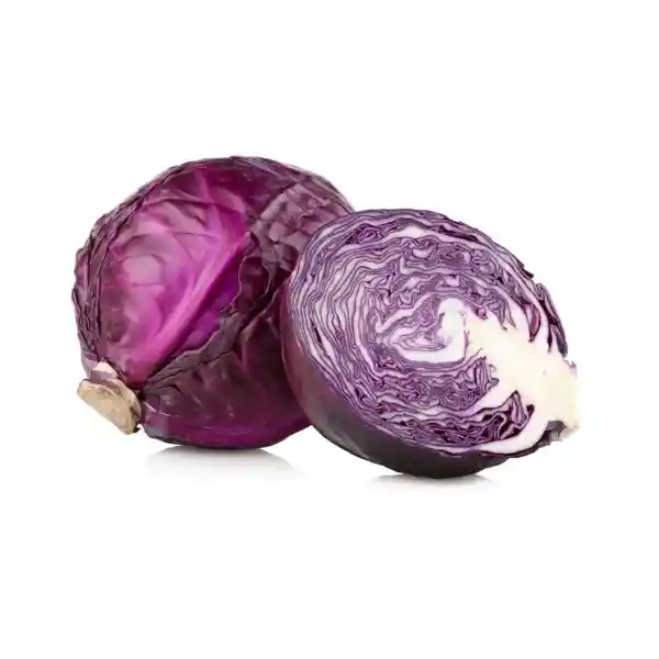 Repollo Morado