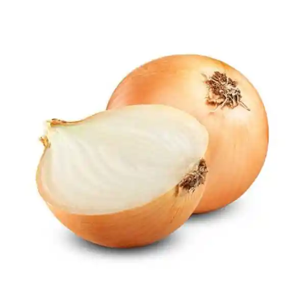 Cebolla Und